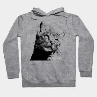 Cat cat cat Hoodie